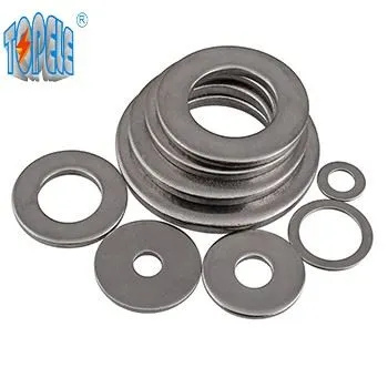Flat Plate Washer